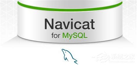 Navicat for MySQL | MySQL 数据库管理和开发工具