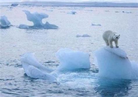 全球变暖会是灾难性事件吗？科学家：比这更可怕的是全球变冷|全球变暖|地球|科学家_新浪新闻