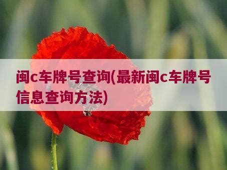 闽风曲韵-福建开放大学非遗课程展播