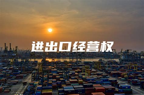 上海办理进出口权备案的详细流程与要求
