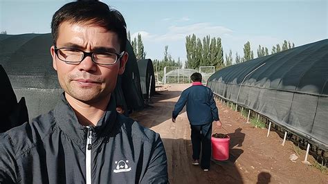 鸟瞰喀什（山东水发）现代蔬菜产业园一角 -天山网 - 新疆新闻门户