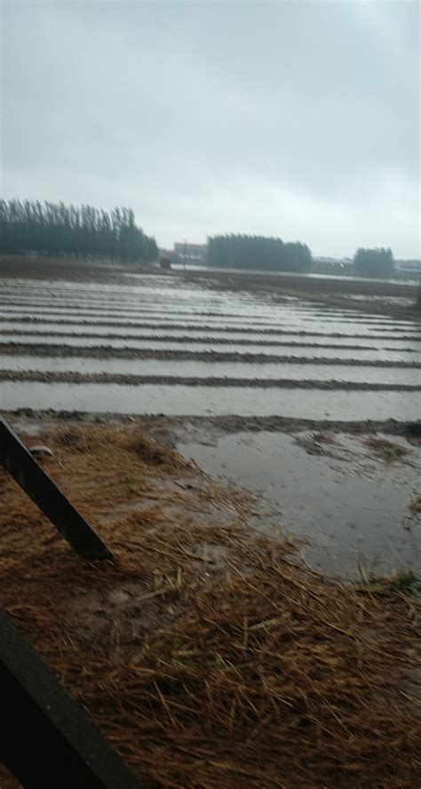 南阳出现大暴雨、多地暴雨，今晚河南这些地方有暴雨-大河报网