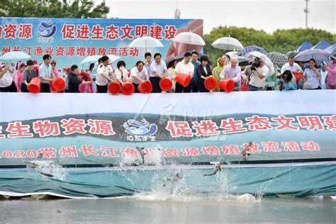 2013年“长丰鲢”新品种推介会在湖北潜江召开-长江水产研究所