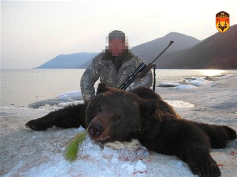 俄罗斯贝加尔湖棕熊狩猎团 - 区域分类—我爱狩猎俱乐部 - 我爱狩猎俱乐部
