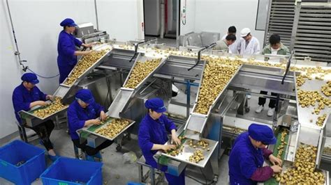 中药OEM加工生产行业资讯 的图像结果