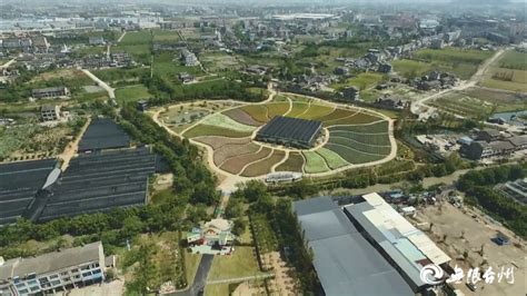《台州新闻》头条丨路桥峰江：打造“大花园” 推动绿色共富