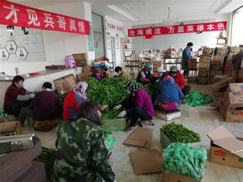 未来俩月北京蔬菜从哪儿来？最近菜源只有1小时车程_手机新浪网