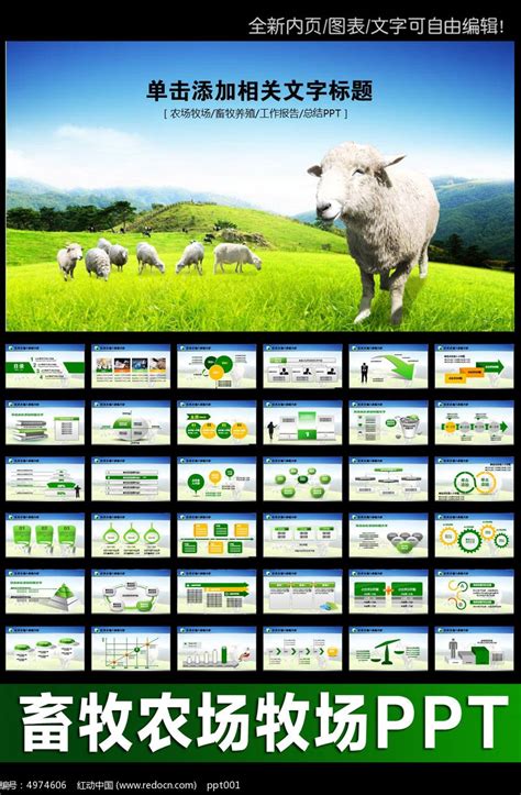 绿色牧场养殖畜牧业乳业畜牧PPT模板下载_红动中国