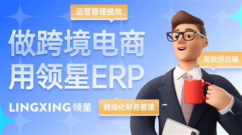 做亚马逊为什么要用erp系统？卖家如何选择ERP系统？-领星ERP