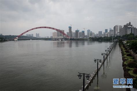 长江汉口站水位持续上涨_时图_图片频道_云南网