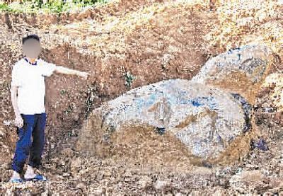 河南一村庄修路挖出大石龟 网友猜测是“赑屃” 底下或有墓穴|河南省|焦作市_新浪新闻