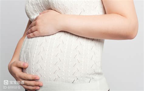 一图读懂 l 孕期孕妇及胎儿每周变化（－）