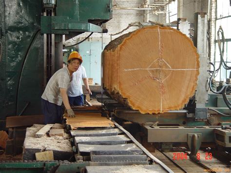 广西桂平闽桂木业生态产业城产业发展初具规模-中国木业网