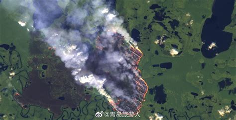 亚马逊雨林大火十天的事情是真的吗？会对地球产生什么影响？ - 知乎