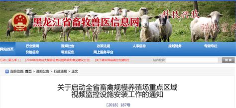 2019年1月31日前，黑龙江畜禽规模养殖场重点区域将安装视频监控设施 | 中国动物保健·官网