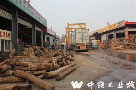 中联木业城市场呈现出火爆的销售势头--张家港木材网