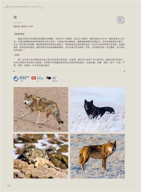《国家重点保护野生动物图鉴》中国首部收齐最新版国家重点保护野生动物的图文出版物_www.isenlin.cn