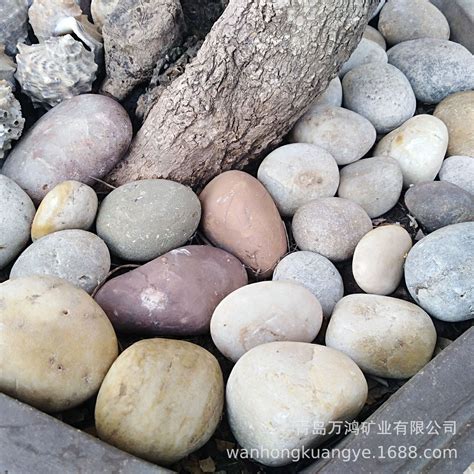 鹅卵石 | 天然鹅卵石雨花石, 红色/黄色/黑色/白色/五彩鹅卵石生产批发 - 蕴泽矿产
