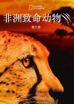 《非洲致命动物 第六季》2023欧美电影更新至3集 免费在线播放 | 小i电影