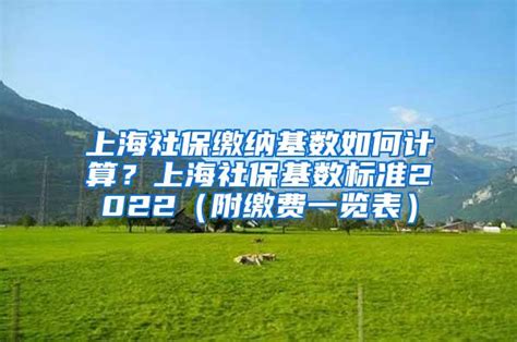 2024上海社保基数预测，落户上海的可以提前规划！