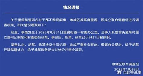 山东潍坊通报“两名村干部不雅视频”事件：双双受到处罚|村干部_新浪新闻