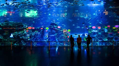 2020COEX水族馆-旅游攻略-门票-地址-问答-游记点评，首尔旅游旅游景点推荐-去哪儿攻略