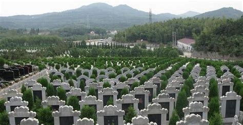 我国公墓无产权不可永久使用满20年须续费 - 温州淘房网 - 温州网