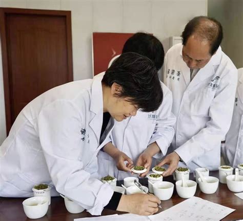 中国茶叶学会举办2020年全国茶叶品质评价会_工作简报_中国农业科学院茶叶研究所