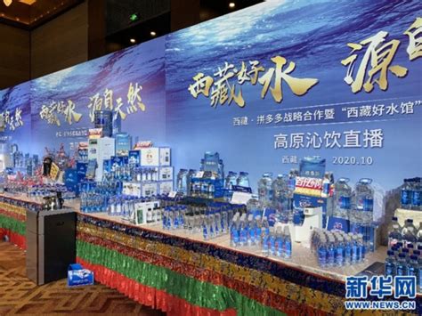 西藏携近150个项目在湖南招商引资_经济.民生_湖南频道_红网