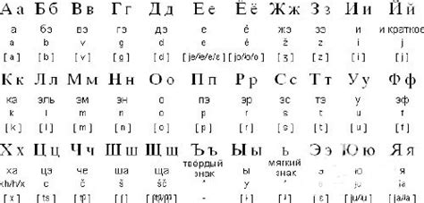 俄语文体与阅读 -多语种教育发展分中心