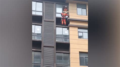 流浪猫被困6楼外墙多日，居民报警消防员暖心救助_凤凰网视频_凤凰网
