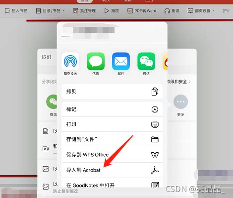 ipad文件中文档怎么用wps打开