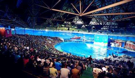 2022上海海昌海洋公园游玩攻略,海底奇域是最值得花时间好好...【去哪儿攻略】