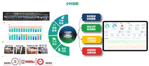 RFID 与 WSN 结合的养殖信息溯源方案 - 行业新闻 - 北京东方迈德科技有限公司