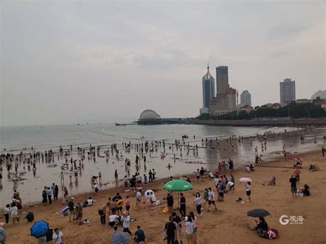 中国海滩的顶流，长满了大爷大妈|浒苔|海水浴场|青岛_新浪新闻