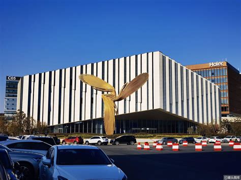 翼鸟图片
