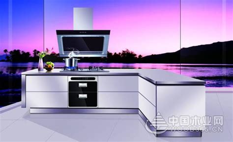 厨房电器十大品牌排行榜-中国木业网