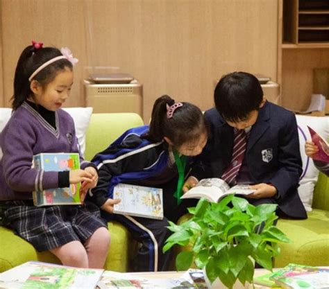 潍坊中新双语学校：太优秀！十多位双一流学子回校留下成长秘籍！|中新|双语|潍坊_新浪新闻