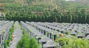 武汉九龙宫陵园推行节地生态安葬|生态|墓穴_凤凰资讯