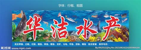 卖海鲜水产取名,海鲜水产店取名字大全,过目不忘的海鲜店名字_大山谷图库