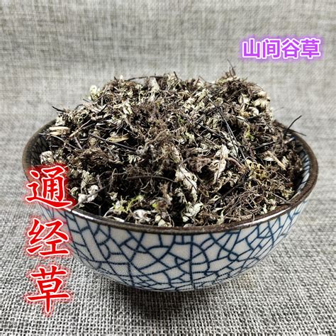 通经草图片
