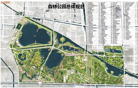 东营市森林湿地公园中心区 详细规划项目方案竞选 - 深圳市蕾奥规划设计咨询股份有限公司