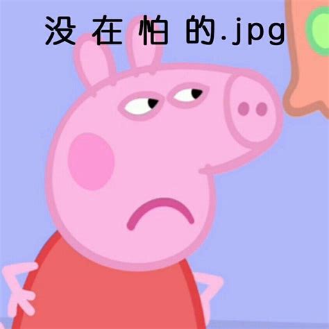 表情包佩佩图片