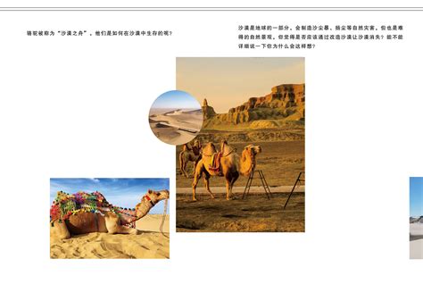 沙漠画册|平面|书籍/画册|潘小娜 - 原创作品 - 站酷 (ZCOOL)