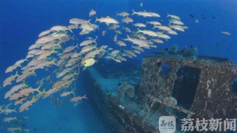 玄武岩纤维人工鱼礁-中科石源