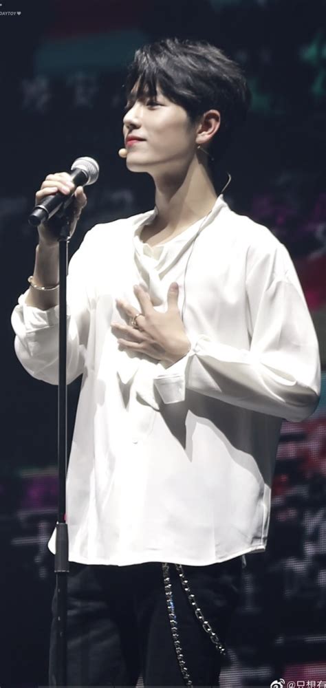 肖战演唱会图片