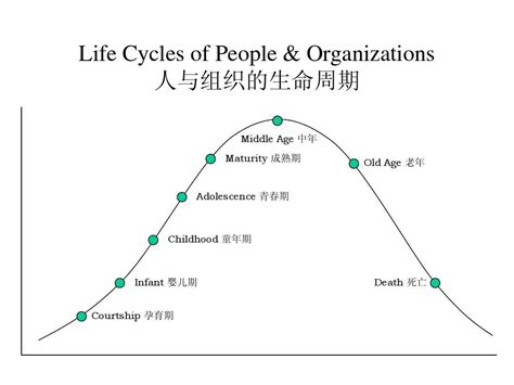 爱迪斯：十阶段企业生命周期模型__财经头条