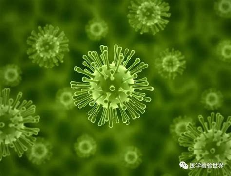 新冠病毒感染机制及人体免疫系统基础概念梳理 - 知乎