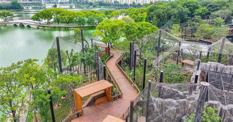 2021汉中王城动物园年票办理时间及费用 洛阳年票卡有哪些景点免费_旅泊网
