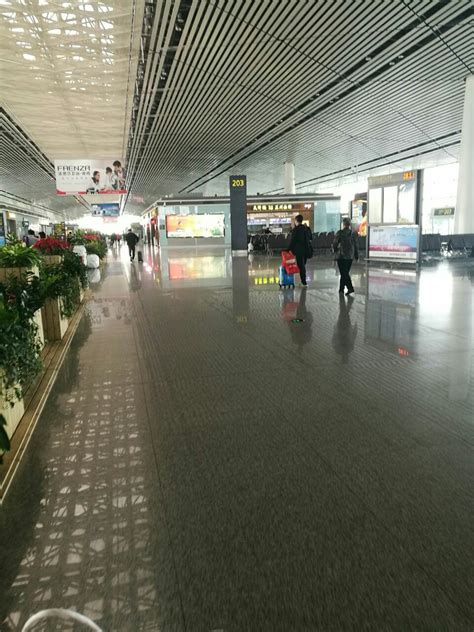 从北京国际机场t3航站楼去天津怎么最快_百度知道